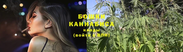 трава Беломорск