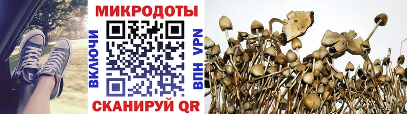 Галлюциногенные грибы мицелий  это официальный сайт  Красноуральск 